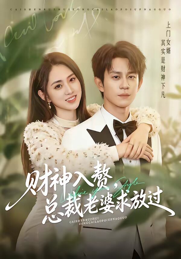 财神入赘,总裁老婆求放过